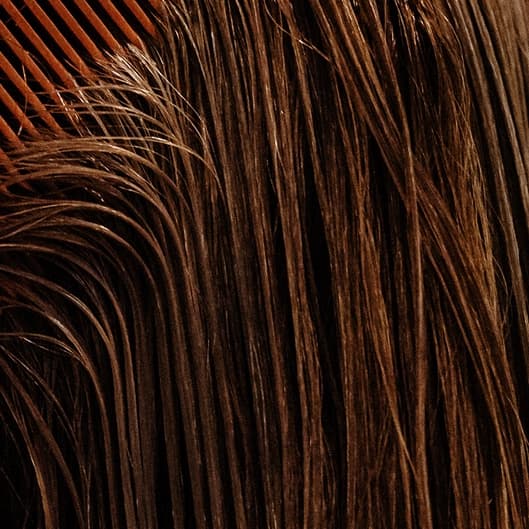 Root Refresh Package at Sage + Mane Salon in Walnut Creek, CA